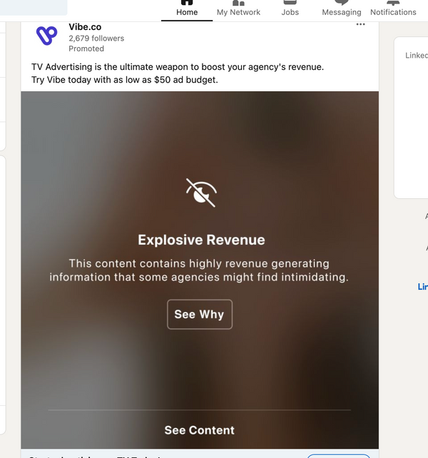 Vibe.co LinkedIn Advertisement